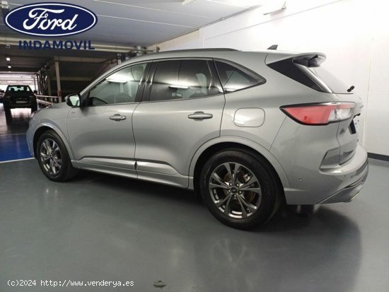 Ford Kuga Hibrido 2.5 Duratec Fhev St-line 4x2 Aut. - Huércal de Almería