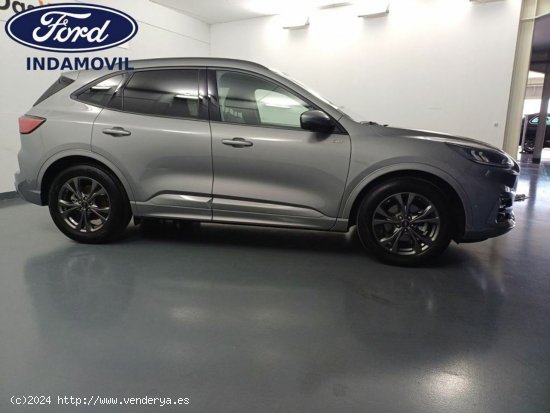 Ford Kuga Hibrido 2.5 Duratec Fhev St-line 4x2 Aut. - Huércal de Almería