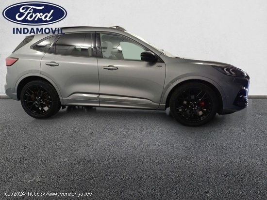 Ford Kuga Nuevo St-line X 1.5 Ecoboost 110kw (150cv) Euro 6.2 - Huércal de Almería