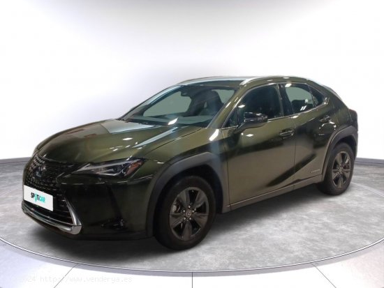 Lexus UX 2.0 250h Luxury - Toledo