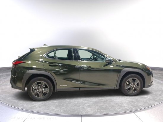 Lexus UX 2.0 250h Luxury - Toledo