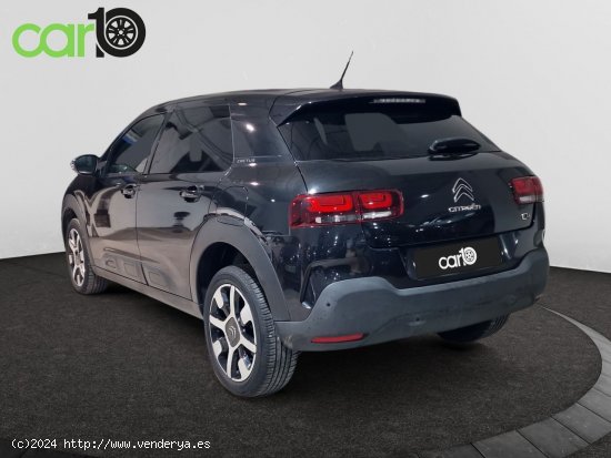 Citroën C4 Cactus 1.5 blue hdi - Toledo