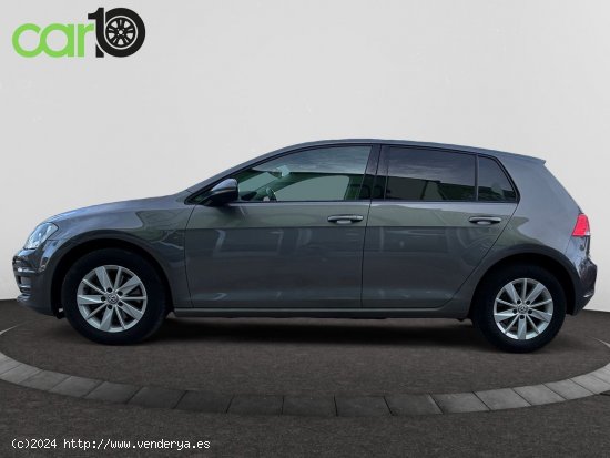 Volkswagen Golf Advance 1.6 TDI 110CV BMT DSG - Toledo