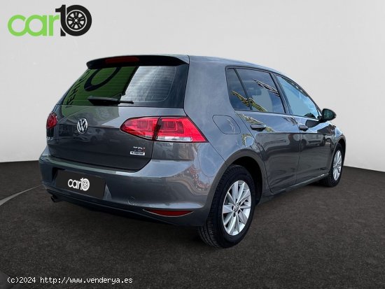 Volkswagen Golf Advance 1.6 TDI 110CV BMT DSG - Toledo