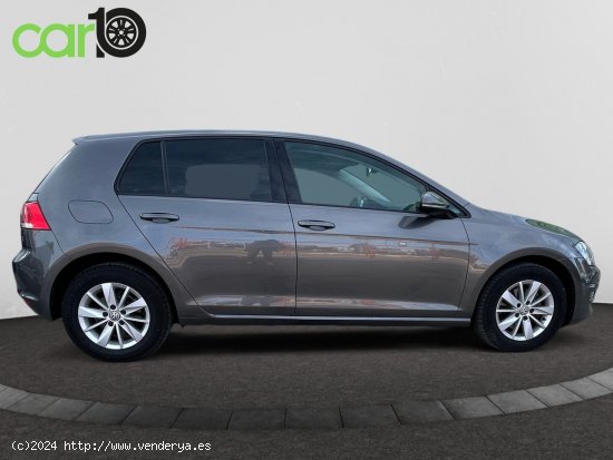 Volkswagen Golf Advance 1.6 TDI 110CV BMT DSG - Toledo