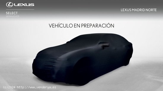 Lexus UX 2.0 250h Premium - El Plantío