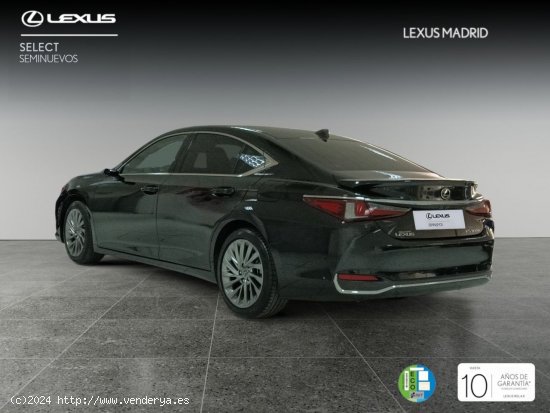 Lexus ES 2.5 300h Luxury - Majadahonda