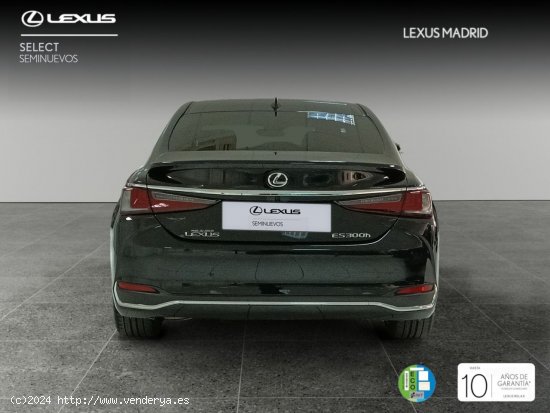 Lexus ES 2.5 300h Luxury - Majadahonda