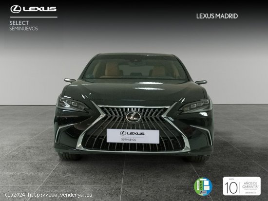 Lexus ES 2.5 300h Luxury - Majadahonda