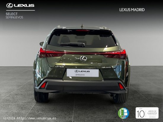 Lexus UX 2.0 250h Luxury - Madrid