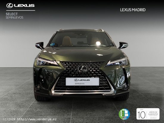 Lexus UX 2.0 250h Luxury - Madrid