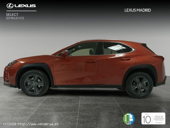 Lexus UX 2.0 250h Premium - Madrid