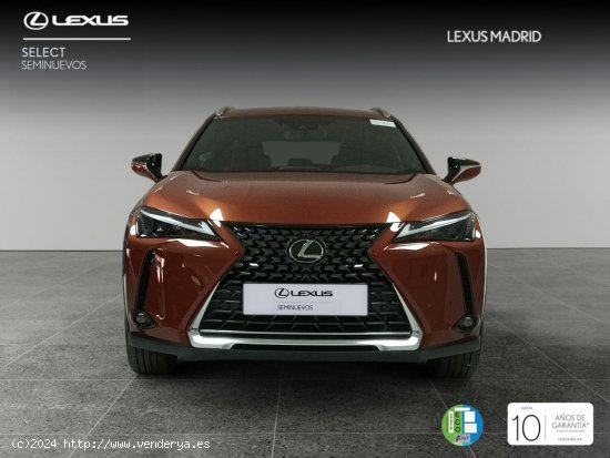 Lexus UX 2.0 250h Premium - Madrid