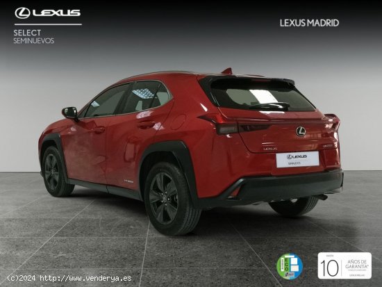 Lexus UX 2.0 250h Business - El Plantío