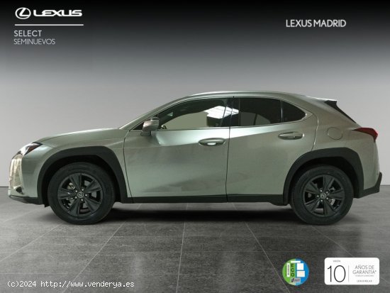 Lexus UX 2.0 250h Premium - El Plantío