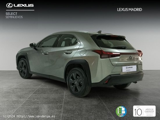 Lexus UX 2.0 250h Business City - El Plantío