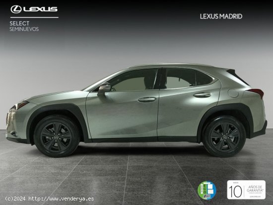 Lexus UX 2.0 250h Business City - El Plantío