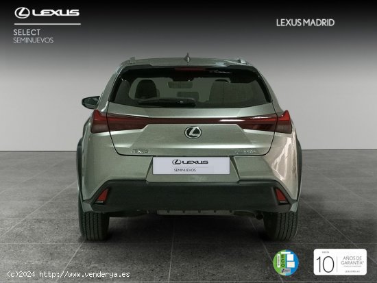 Lexus UX 2.0 250h Business City - El Plantío