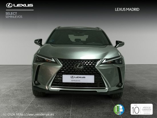 Lexus UX 2.0 250h Business City - El Plantío