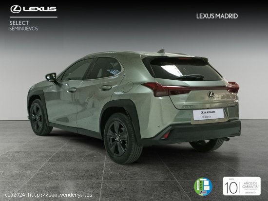 Lexus UX 2.0 250h Premium - El Plantío