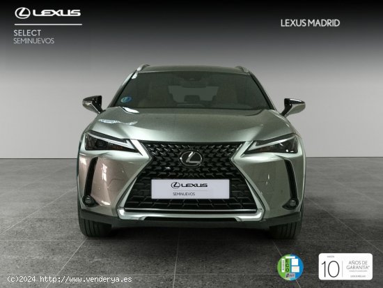 Lexus UX 2.0 250h Premium - El Plantío