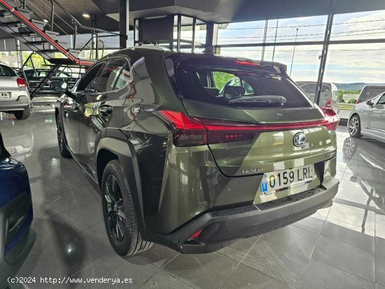 Lexus UX 250H 2.0 183CV - Lugo