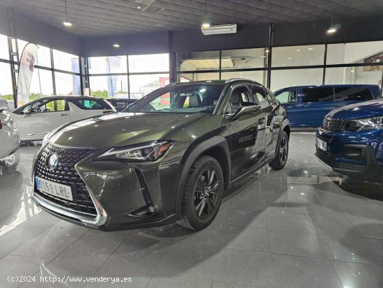 Lexus UX 250H 2.0 183CV - Lugo