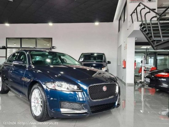  Jaguar XF xf 2.0d 120kw 163cv pure - Lugo 