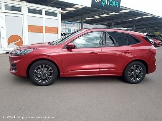 Ford Kuga 1.5 EcoBlue 88kW (120CV) ST-Line - 