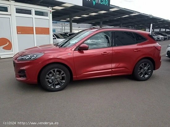 Ford Kuga 1.5 EcoBlue 88kW (120CV) ST-Line - 