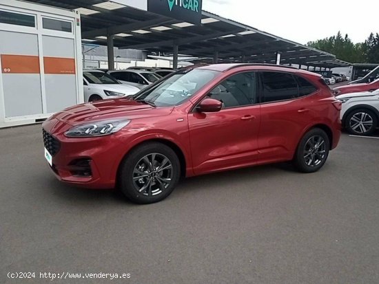 Ford Kuga 1.5 EcoBlue 88kW (120CV) ST-Line - 