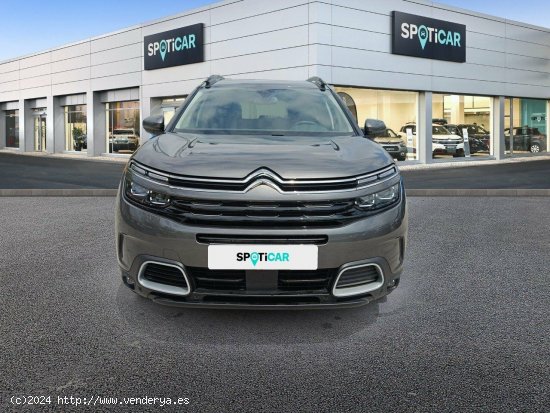 Citroën C5 Aircross PureTech 96kW (130CV) S&S EAT8 Shine Pac - 