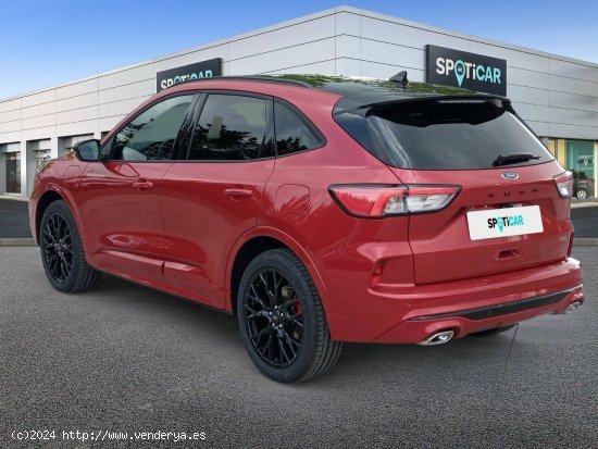 Ford Kuga ST-Line X 2.5 Duratec PHEV 165kW Auto - 