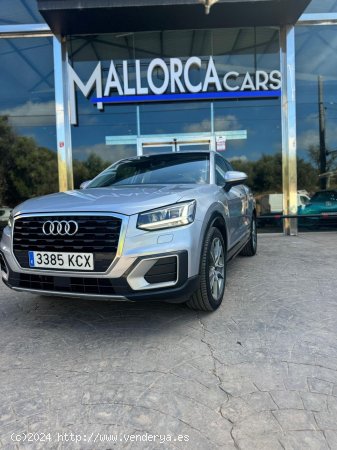 Audi Q2 1.6 TDI - Palma