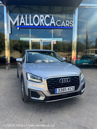 Audi Q2 1.6 TDI - Palma