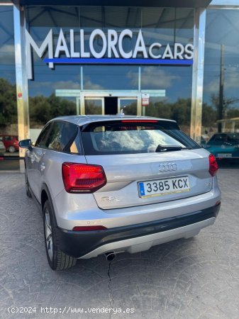 Audi Q2 1.6 TDI - Palma