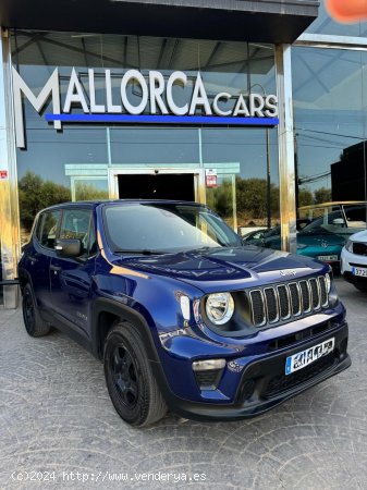 Jeep Renegade 1.0 i - Palma