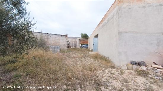 Albergue en La Romana - ALICANTE