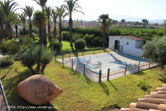 Se alquila Planta de arriba de chalet en Matola con cocina, baño, despacho y terraza!!! - ALICANTE