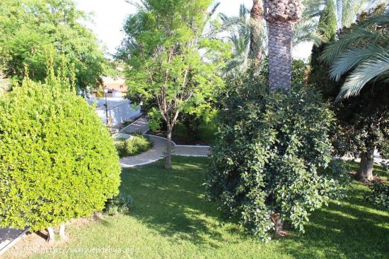 Se alquila Planta de arriba de chalet en Matola con cocina, baño, despacho y terraza!!! - ALICANTE