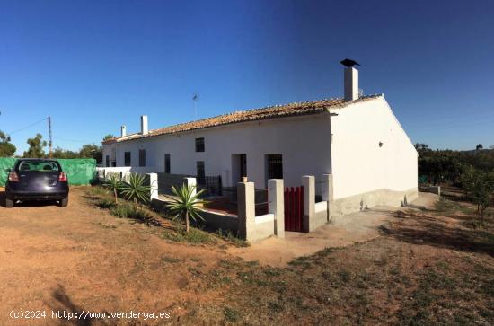 FINCA RUSTICA A 7 KM DE VALVERDE - HUELVA