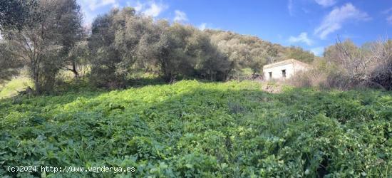 TERRENO RÚSTICO EN ZONA VALDECABRAS - CADIZ