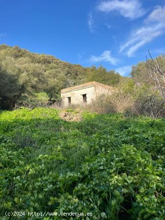 TERRENO RÚSTICO EN ZONA VALDECABRAS - CADIZ