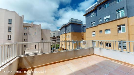 Se Vende en Las Palmas de Gran Canaria - LAS PALMAS