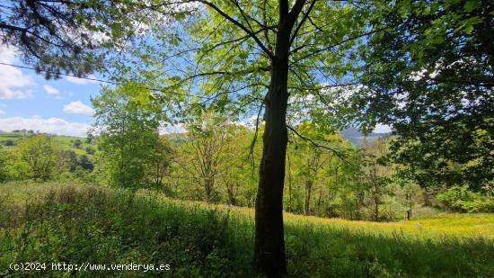 Se Vende en Santa Maria de Cayon - CANTABRIA