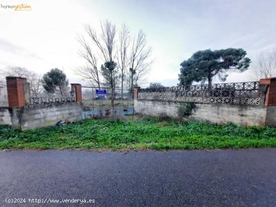 SE VENDE TERRENO RUSTICO EN TUDELA DE DUERO - VALLADOLID