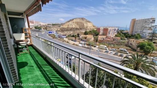 PISO EN VENTA ALICANTE - ZONA RAVAL ROIG- - ALICANTE