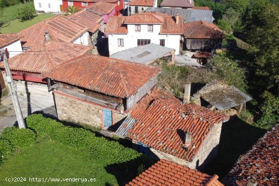 casa de piedra para rehabilitar - ASTURIAS