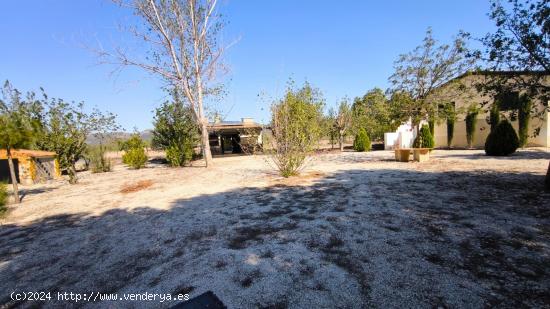 SOLAR CON CASA  MUY CERCA DE RICOTE - MURCIA