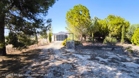 SOLAR CON CASA  MUY CERCA DE RICOTE - MURCIA